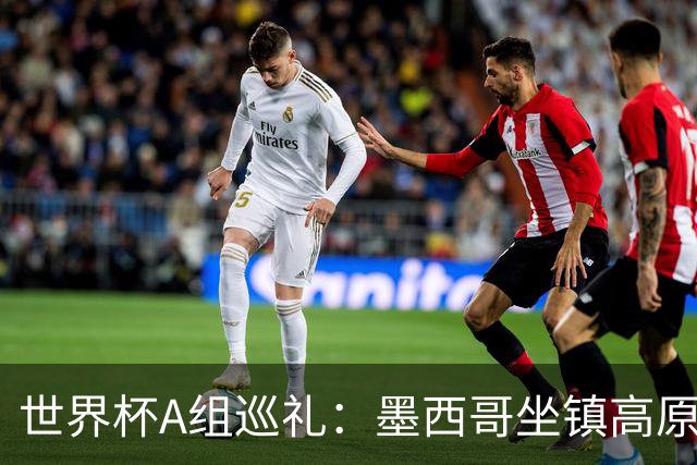 世界杯A组巡礼：墨西哥坐镇高原 孙兴慜绝唱