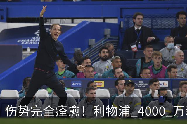 伤势完全痊愈！利物浦 4000 万新援迎世界杯首秀，西班牙边路解燃眉之急