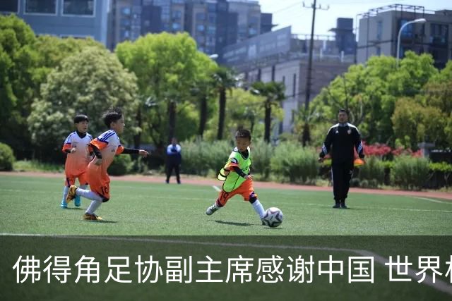 佛得角足协副主席感谢中国 世界杯后将安排与国足友谊赛