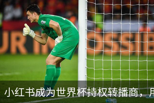 小红书成为世界杯持权转播商，用户可免费看全部104场赛事