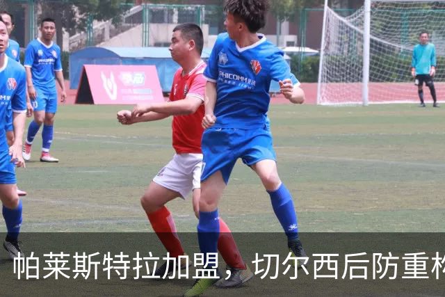 帕莱斯特拉加盟，切尔西后防重构利与弊，青训新星转型中卫有深意