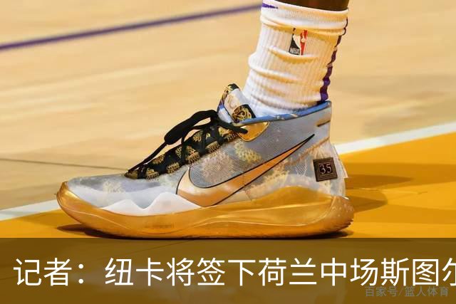 记者：纽卡将签下荷兰中场斯图尔，目前定位为轮换球员